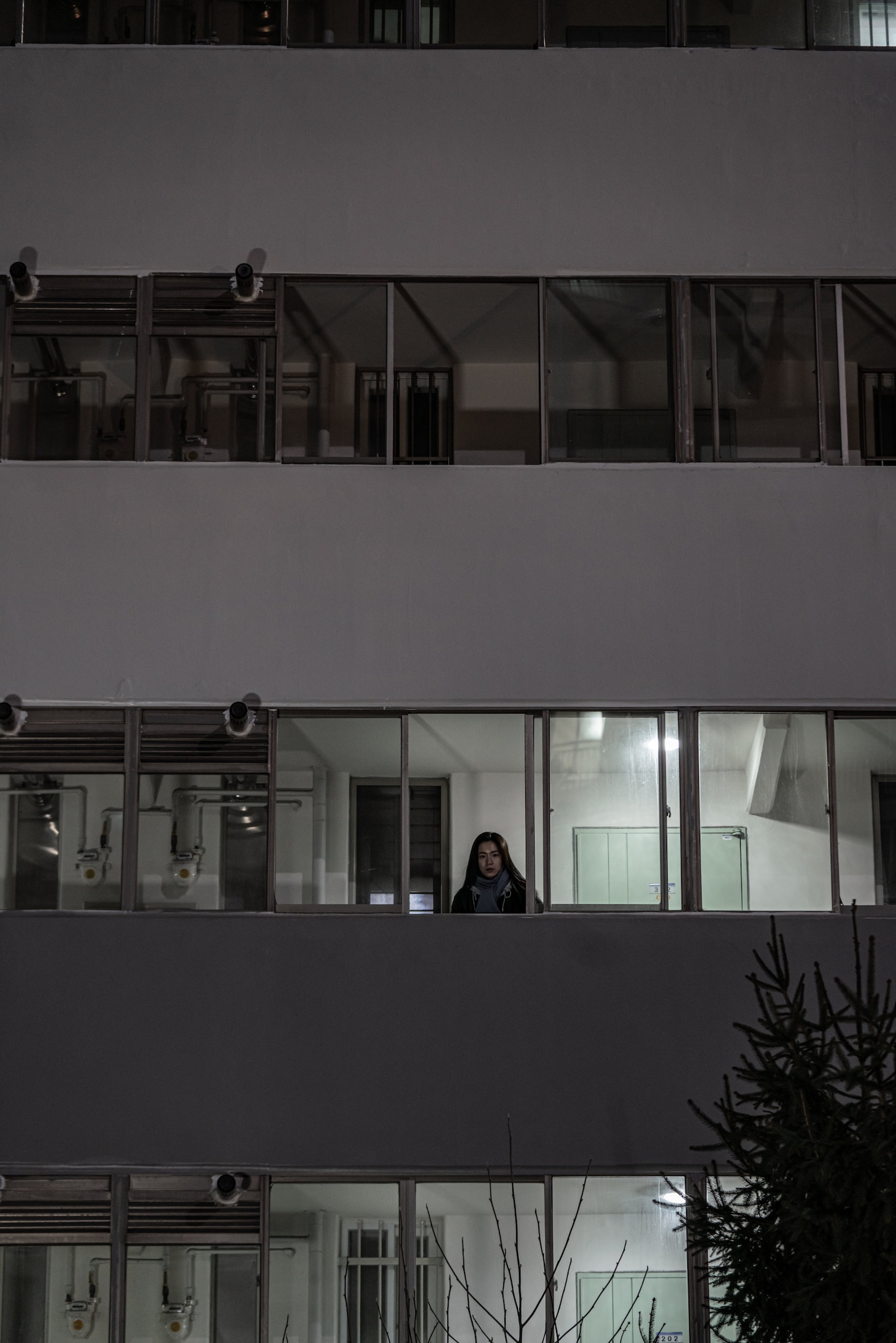 「501号室の男 -ある作家の記録-」場面写真