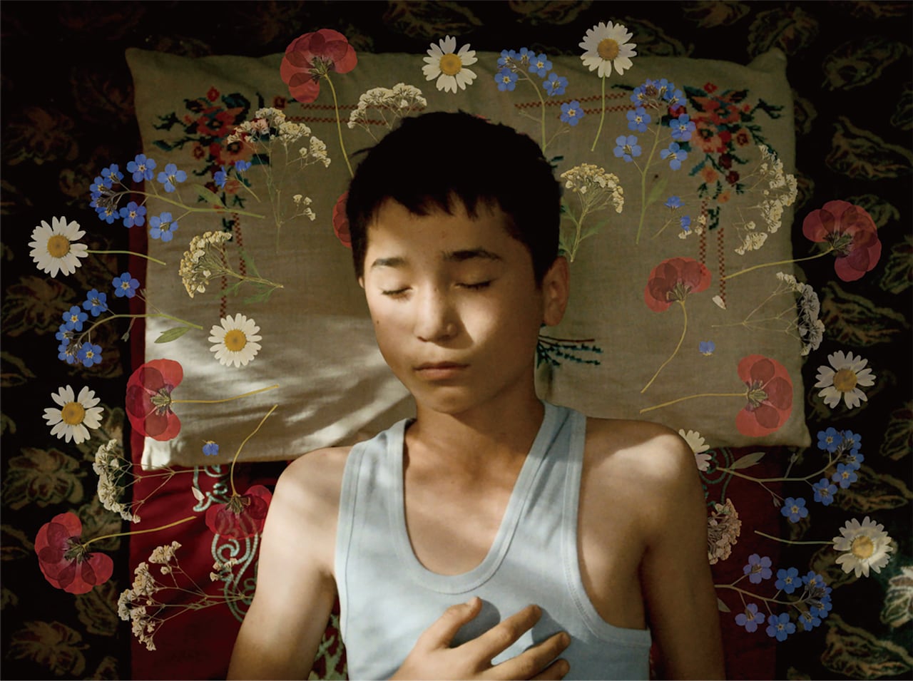 新疆ウイグル自治区の草原で紡がれる少年のひと夏、「ボタニスト 植物を愛する少年」予告編