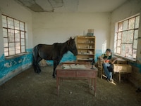 「ボタニスト 植物を愛する少年」場面写真