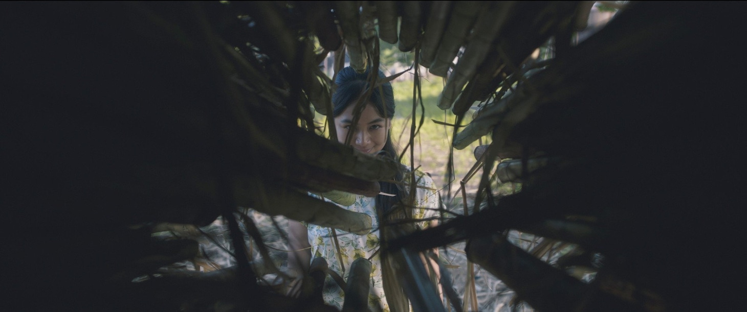 「サトウキビは知っている」場面写真