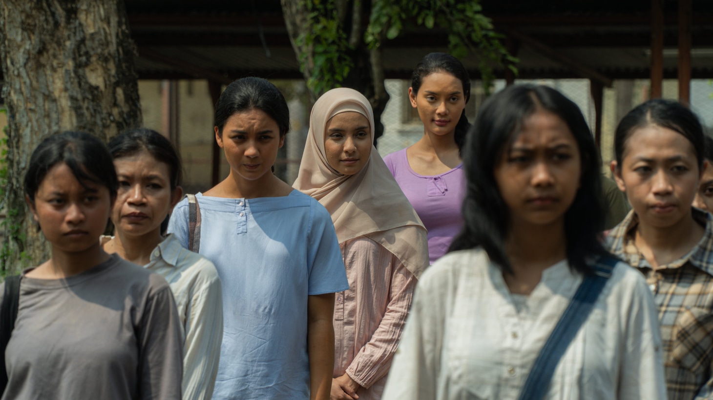 「サトウキビは知っている」場面写真