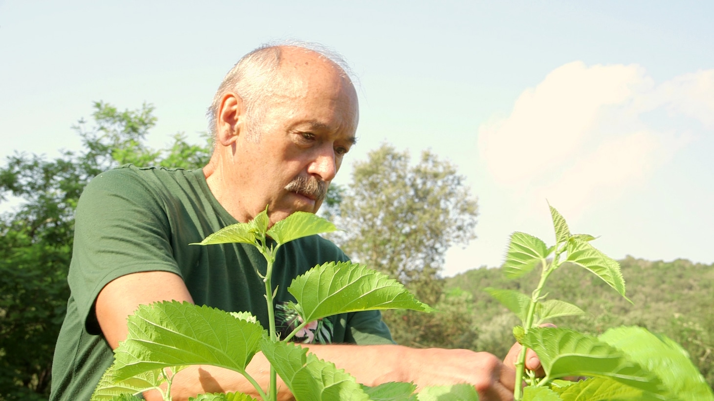 ドキュメンタリー映画「マダム・ソワ・セヴェンヌ」場面写真