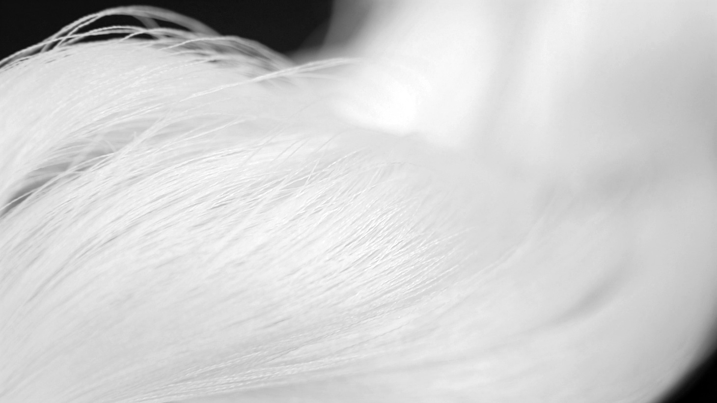 ドキュメンタリー映画「マダム・ソワ・セヴェンヌ」場面写真