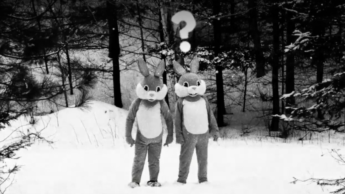 「FEVER ビーバー！」場面写真