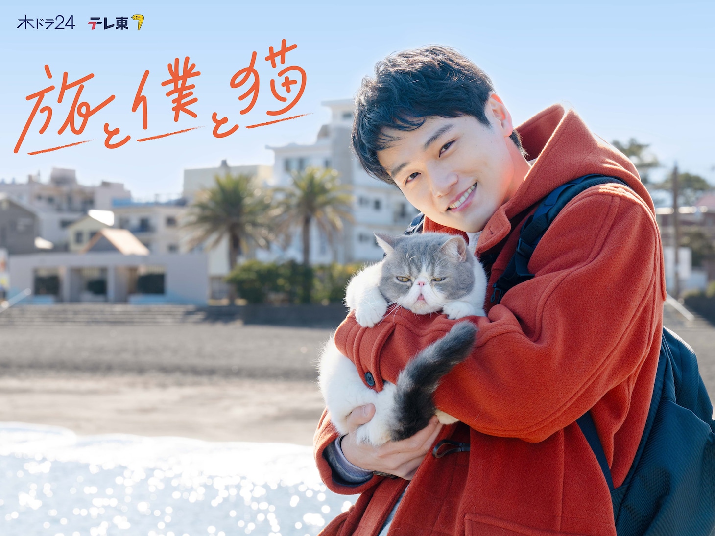 木ドラ24「旅と僕と猫」メインビジュアル ©テレビ東京
