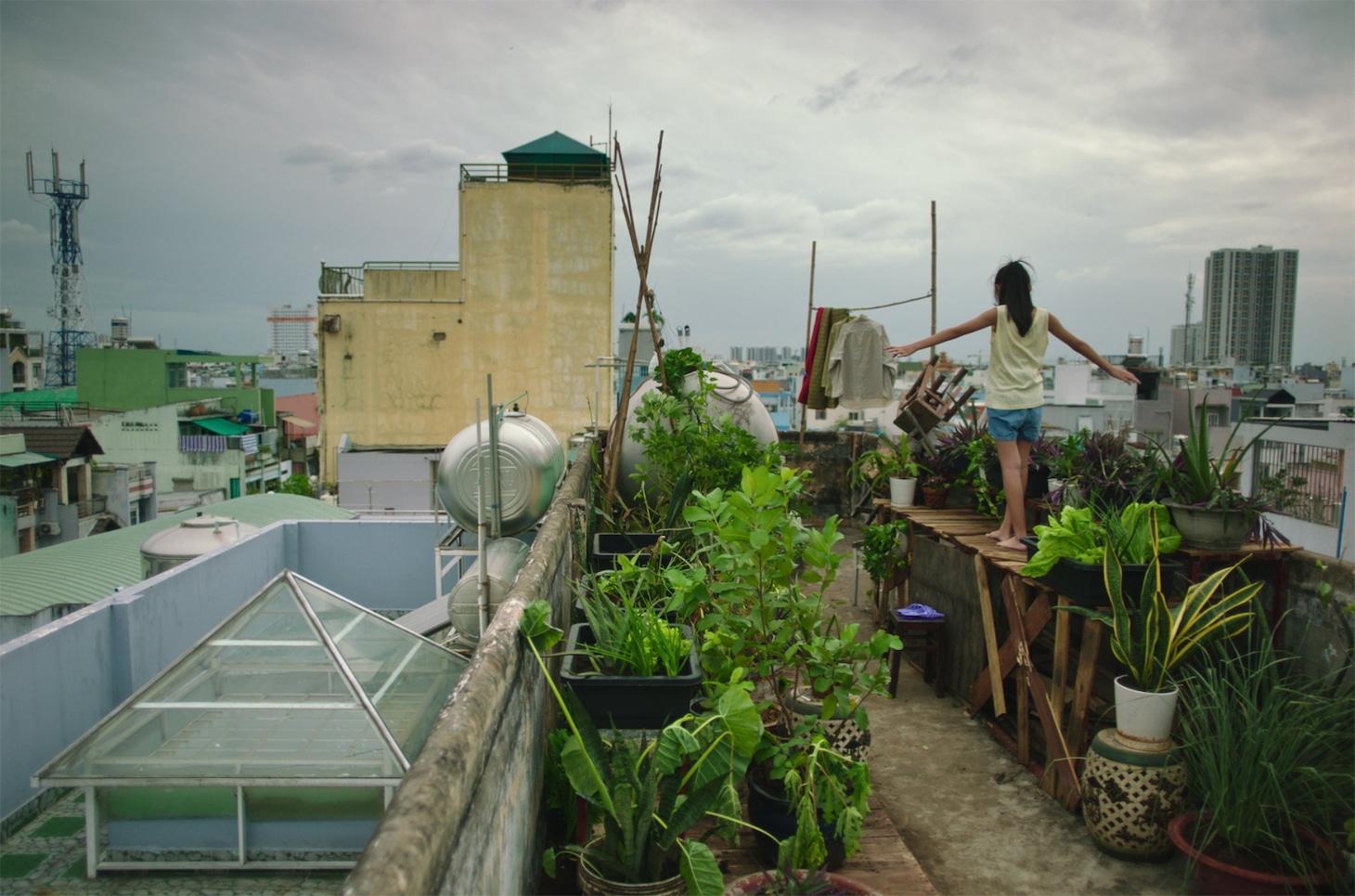 「PLAYLIST アジアの才能」より、「屋上のレンピッカ」場面写真