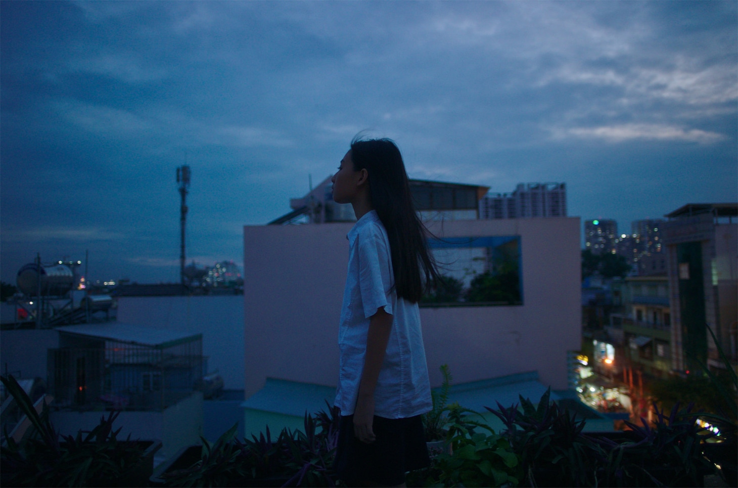 「PLAYLIST アジアの才能」より、「屋上のレンピッカ」場面写真