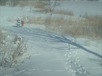 「PLAYLIST アジアの才能」より、「街に溶ける」場面写真 ©2024 VIPO