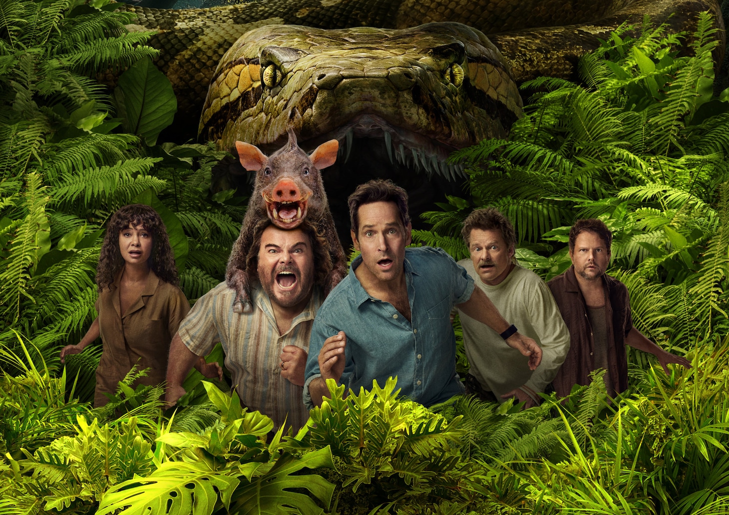 「俺たちのアナコンダ」キービジュアル