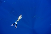 沢尻エリカ写真集「DAY OFF」収録カット