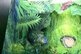 宮﨑駿のパノラマボックス「となりのトトロ／ねむいよー」。実際は背景画やキャラクターなどが別々に描かれ、箱の中にそれぞれの絵が何層にもわかれて設置されている
