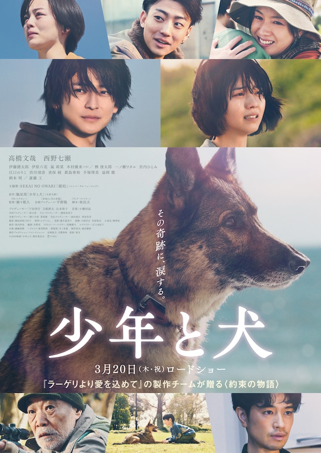 高橋文哉と西野七瀬がダブル主演を務めた映画「少年と犬」ビジュアル。4月20日からPrime Video（プライムビデオ）で見放題独占配信が行われる