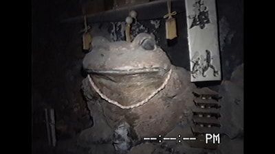 「沢田美由紀のガマランドにお邪魔します」場面写真