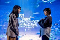 「〇〇なふたり」から「蘭とステラと水族館」編の場面写真