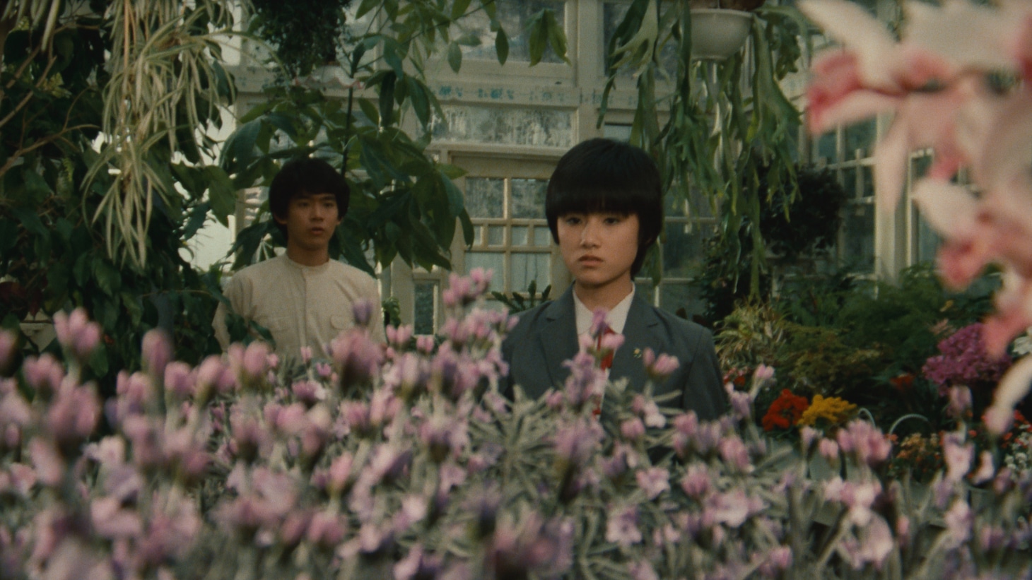 「時をかける少女」4K版 場面写真 ©KADOKAWA 1983