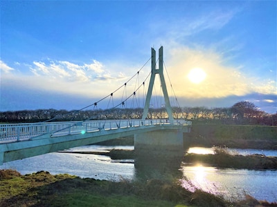 映画「桜の下のポリフォニー」の舞台、埼玉県幸手市にある外野橋（そとのはし）