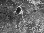 「イン・ザ・カントリー」場面写真