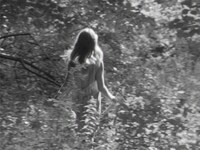 「イン・ザ・カントリー」場面写真