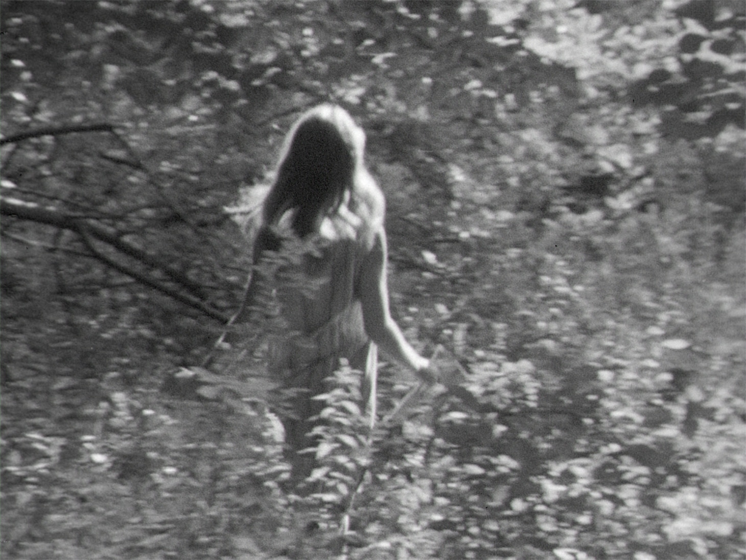 「イン・ザ・カントリー」場面写真