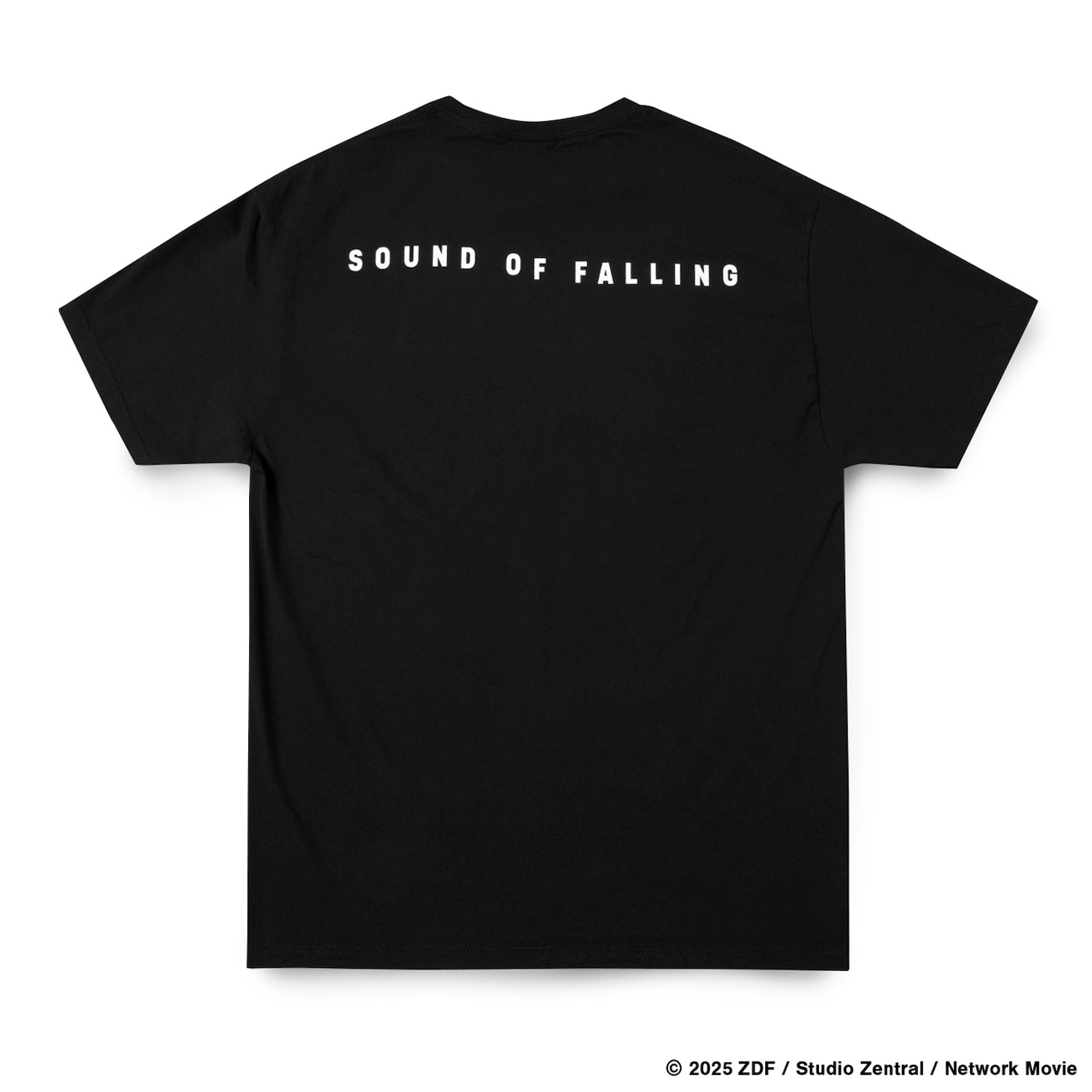 「SOUND OF FALLING × GEEKS RULE 15 SILKSCREEN PRINTING T SHIRT」背面（税込1万2100円）