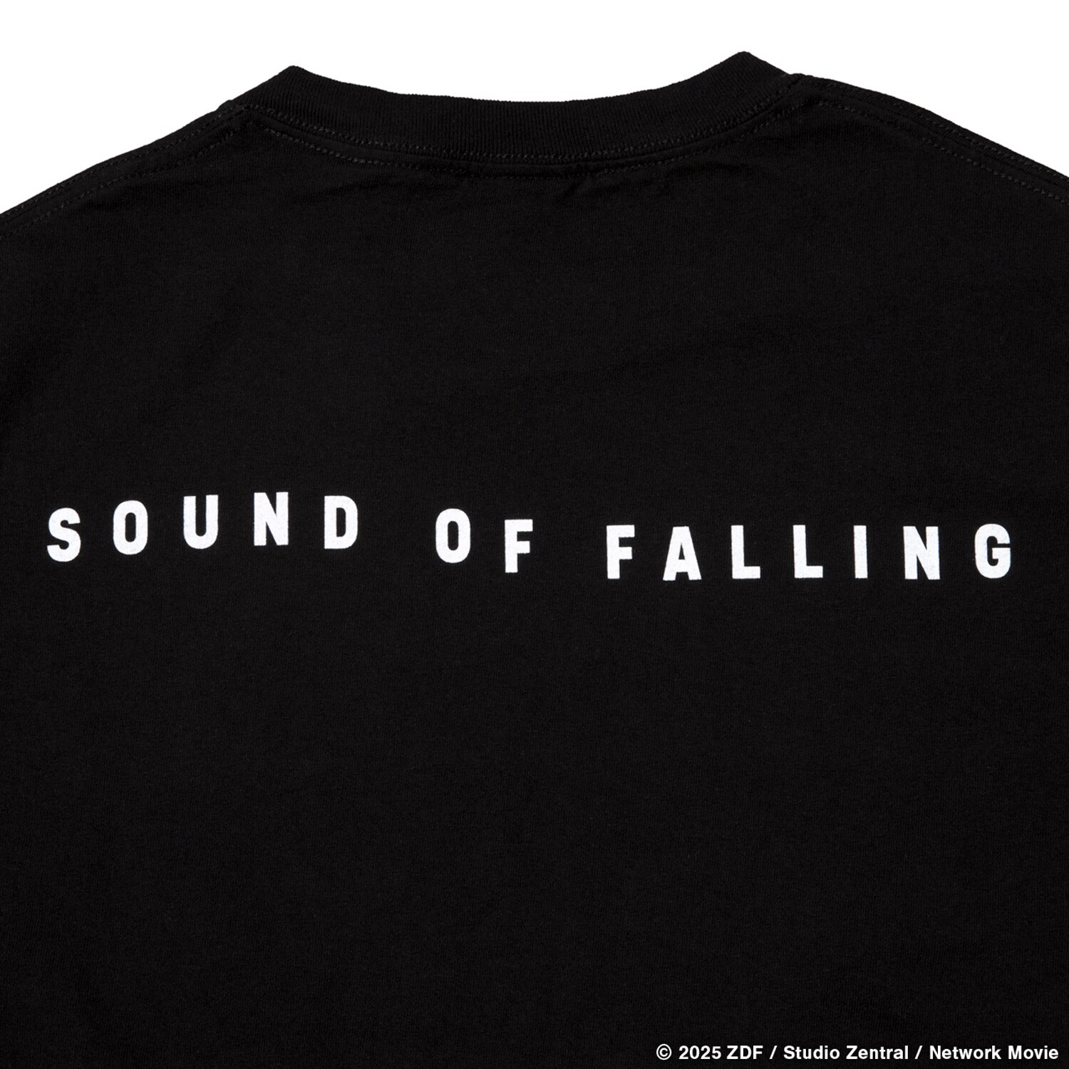 SOUND OF FALLING × GEEKS RULE 15 SILKSCREEN PRINTING T SHIRT」背面