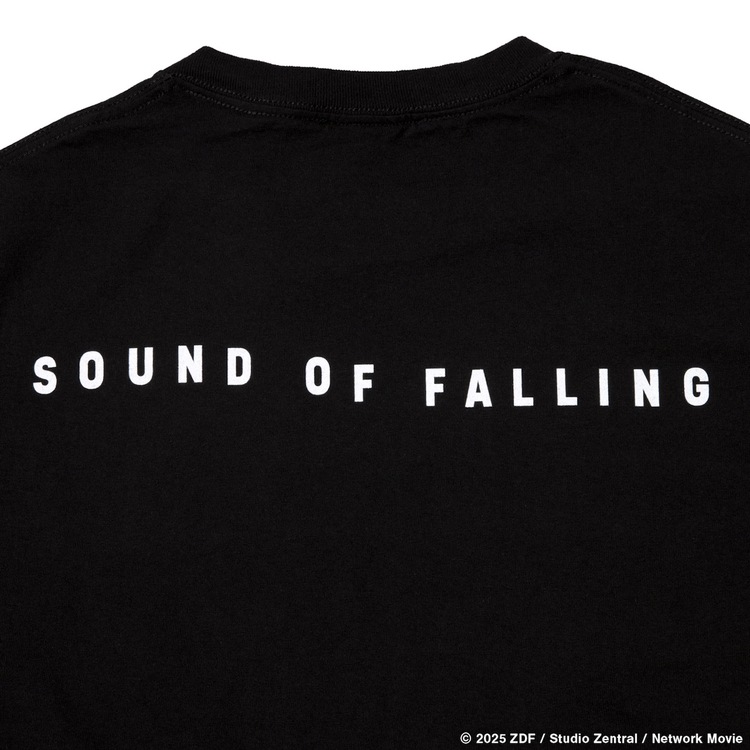 「SOUND OF FALLING × GEEKS RULE 15 SILKSCREEN PRINTING T SHIRT」背面一部（税込1万2100円）