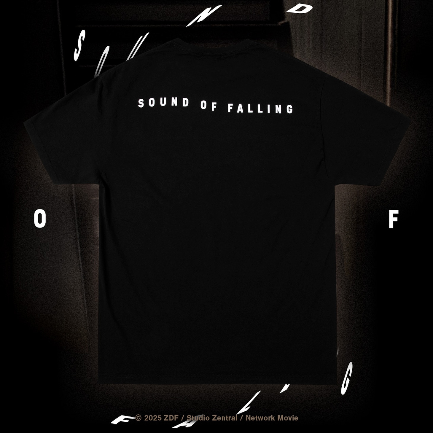 「SOUND OF FALLING × GEEKS RULE 15 SILKSCREEN PRINTING T SHIRT」背面（税込1万2100円）