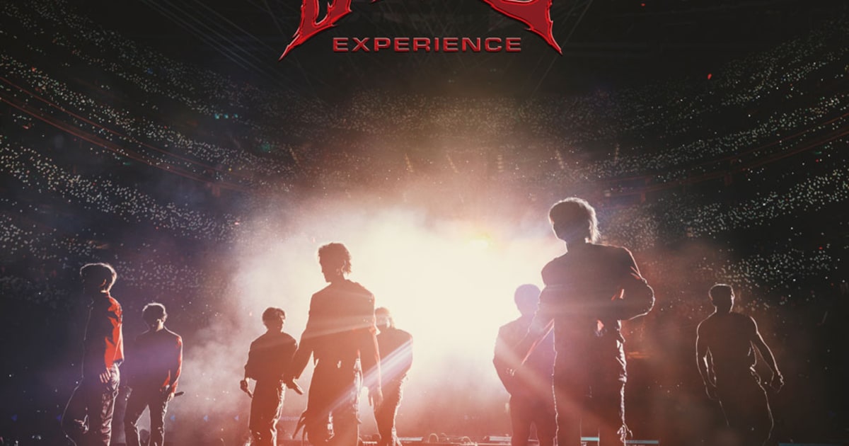 映画『Stray Kids : The dominATE Experience』公開決定！
