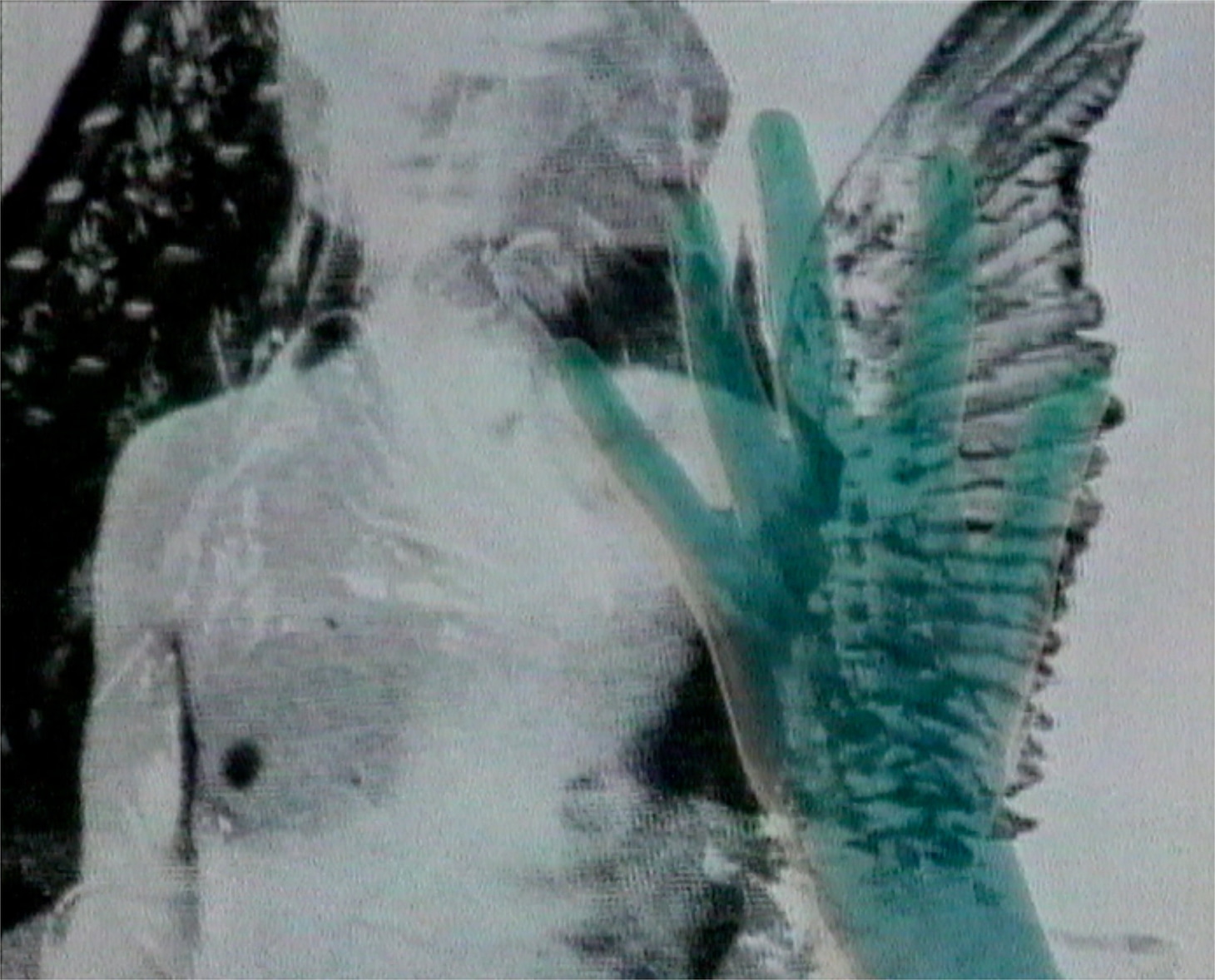 「パーソナル・ステートメント」場面写真