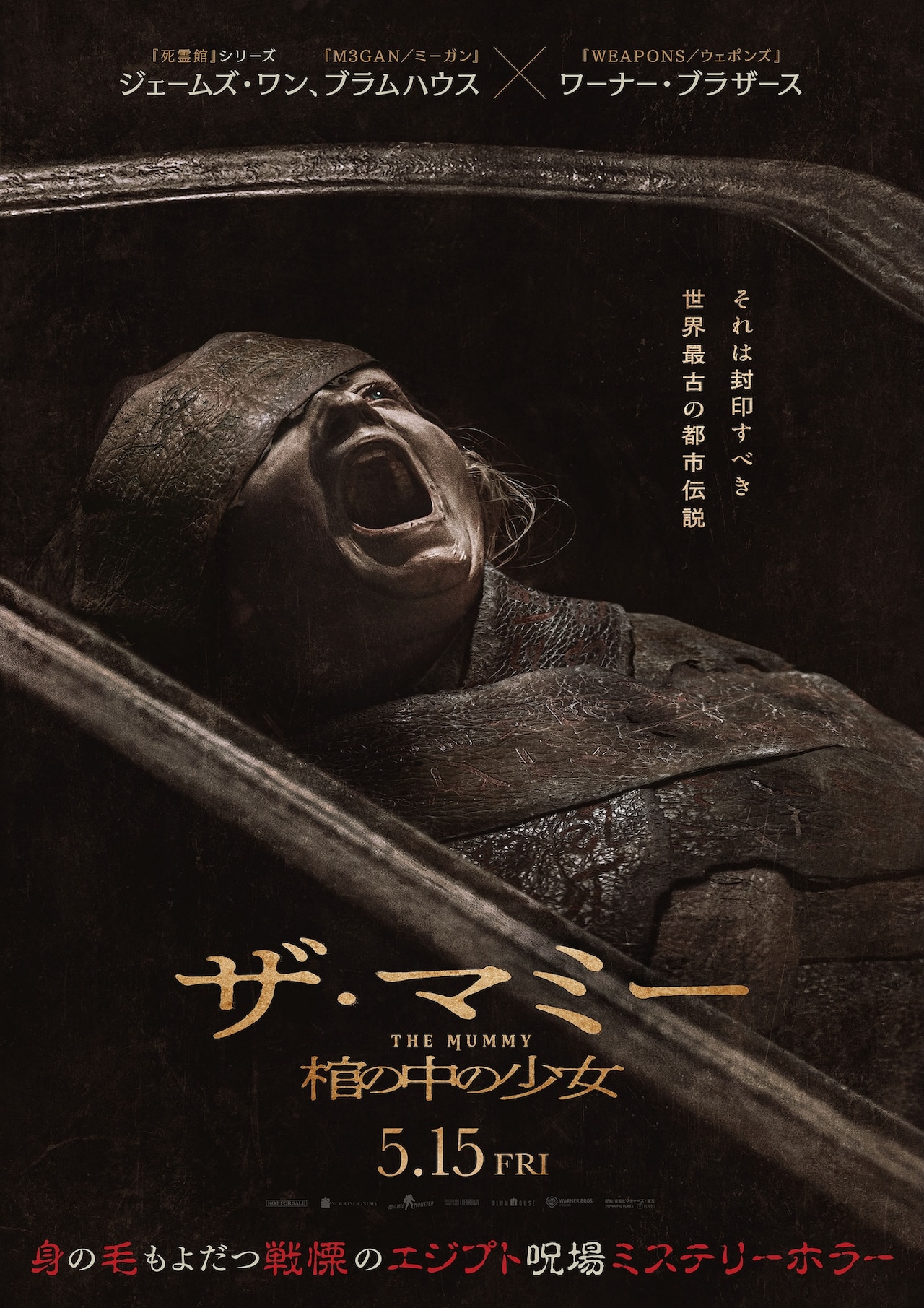 3000年前の棺から少女が…呪場ミステリーホラー「THE MUMMY」新予告