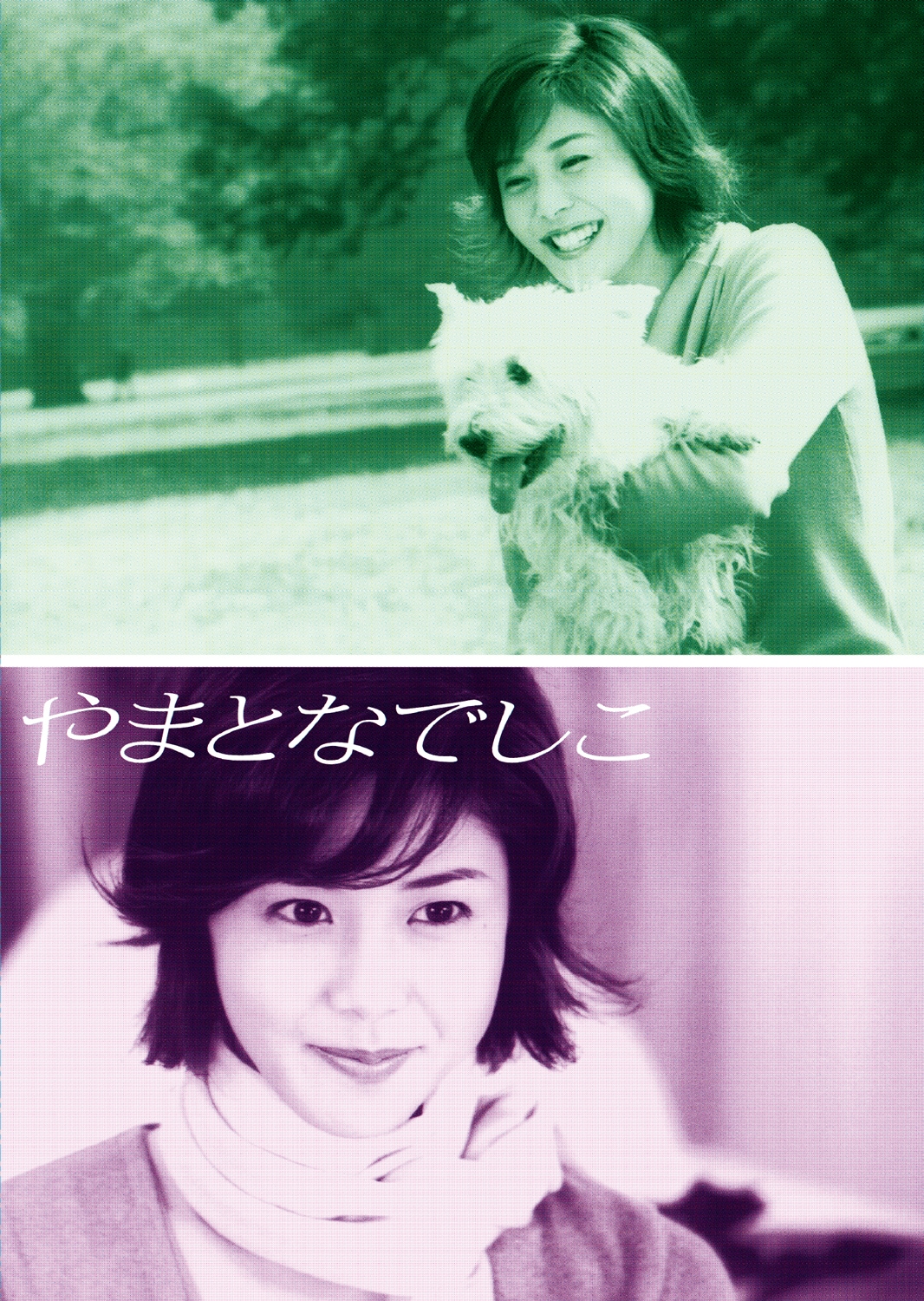 「やまとなでしこ」DVD BOXが販売中（税込2万5080円）。発売元：フジテレビジョン 販売元：ポニーキャニオン ©2001 フジテレビ／共同テレビ