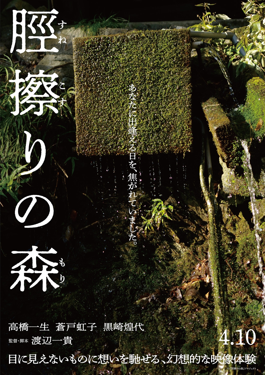 「脛擦りの森」アザービジュアル