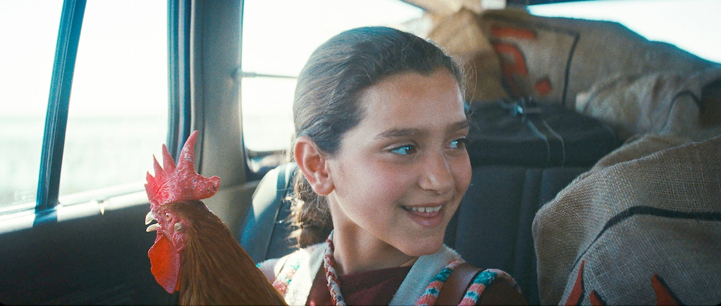 「大統領のケーキ」場面写真