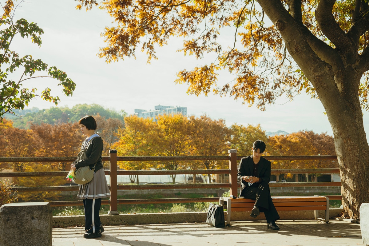 韓国ドラマ「ロマンスの絶対値」場面写真