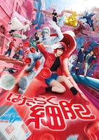 映画「はたらく細胞」ビジュアル ©清水茜／講談社 ©原田重光・初嘉屋一生・清水茜／講談社 ©2024映画「はたらく細胞」製作委員会