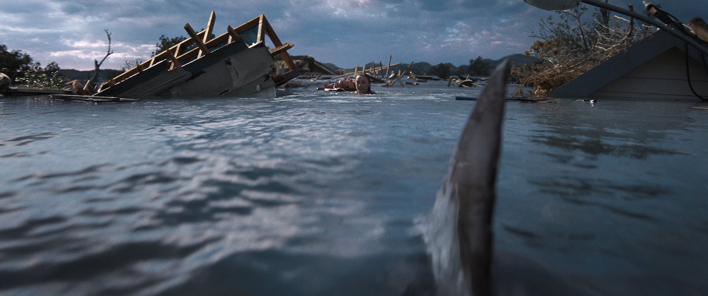 映画「猛襲」場面写真