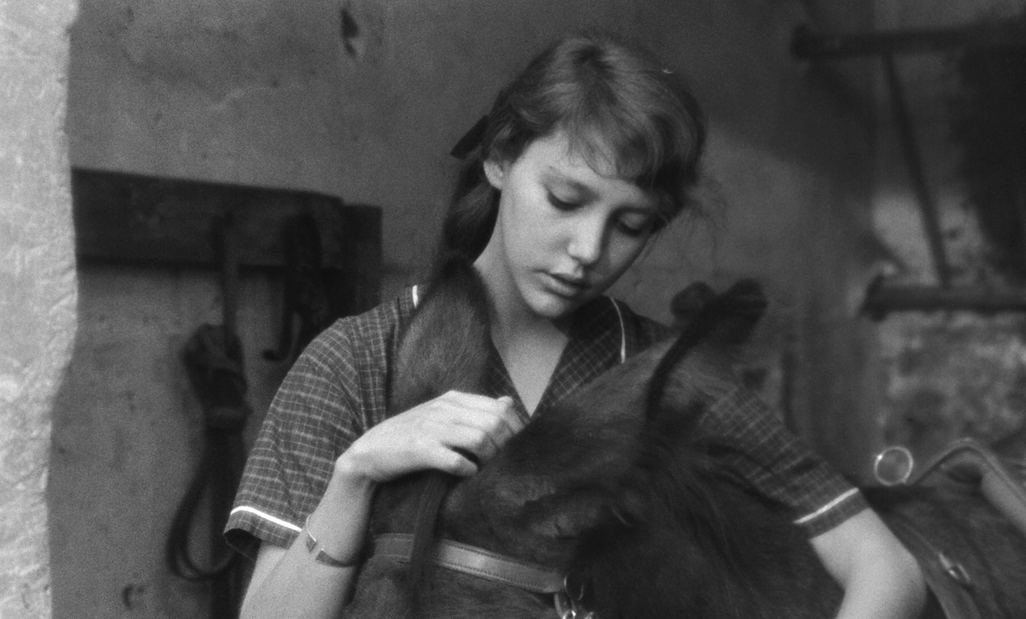 「バルタザールどこへ行く 4Kレストア」場面写真 ©1966 Argos Films – Parc Film – Athos Films – Swedish Film Institut – Svensk Filmindustri