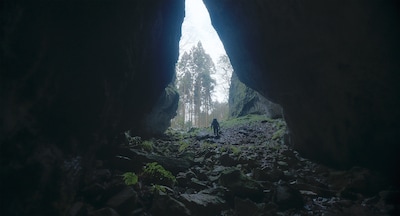 「脛擦りの森」場面写真