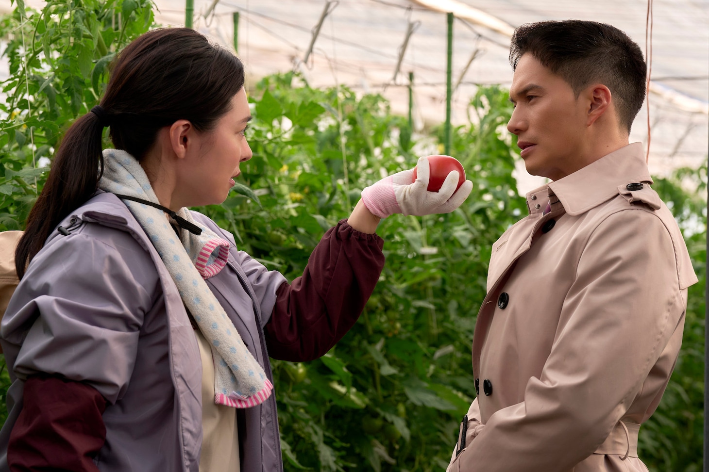 映画「正直不動産」場面写真