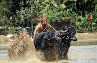 インド映画「カーンターラ 神の降臨」場面写真