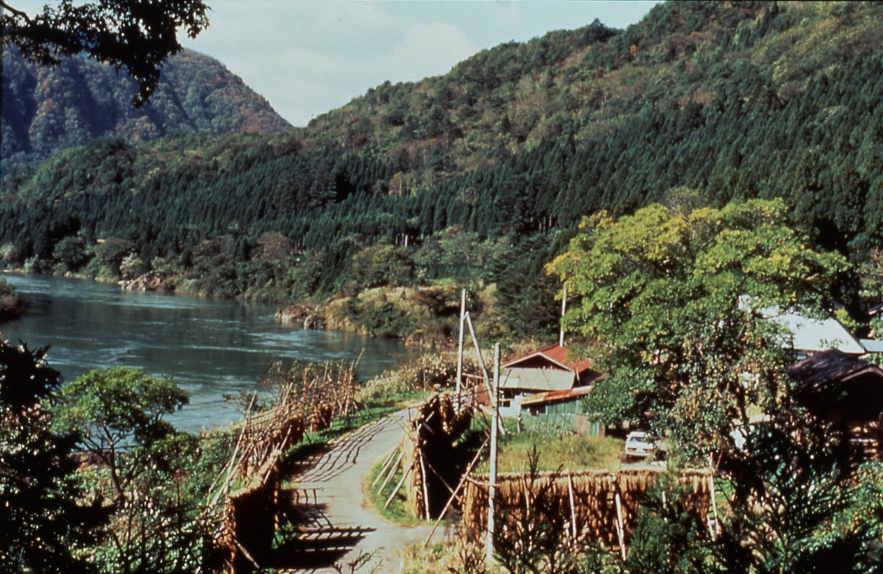 「阿賀に生きる」場面写真
