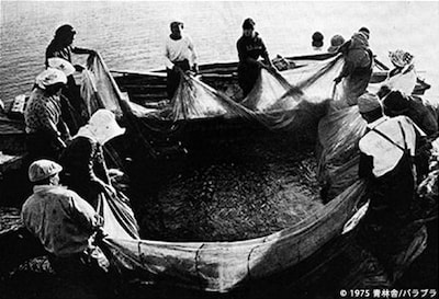 「不知火海」場面写真 ©1975 青林舎/パラブラ