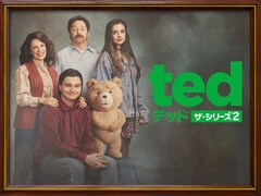 もふもふ過激なテディベアが帰ってくる！「テッド ザ・シリーズ」続編がU-NEXTで配信