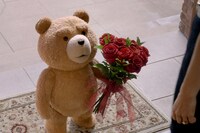 「テッド ザ・シリーズ2」場面写真