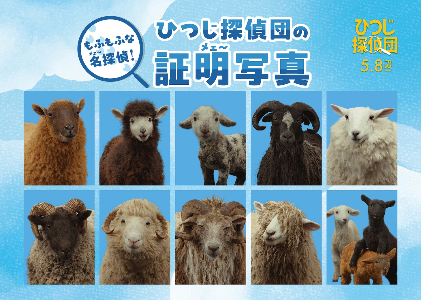 ひつじ探偵団の証明写真