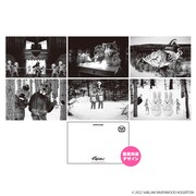 FEVER ビーバー！ ポストカードセット（税込990円）