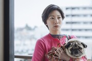 TBS系火曜ドラマ「時すでにおスシ!?」より、土居志央梨演じる謎の女性・澪（みお）。抱えられているパグ犬は、物語の重要なキーパーソンならぬ“キーワンコ”