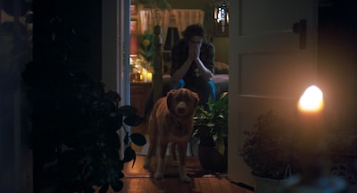 映画「GOOD BOY／グッド・ボーイ」場面写真