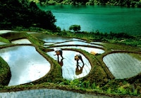 「身土不二」場面写真