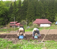 「身土不二」場面写真